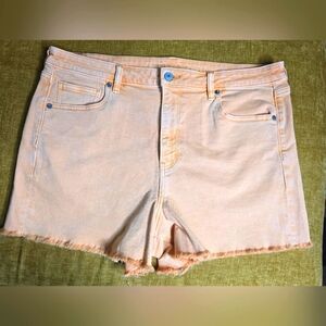 American Eagle Orange Shorts